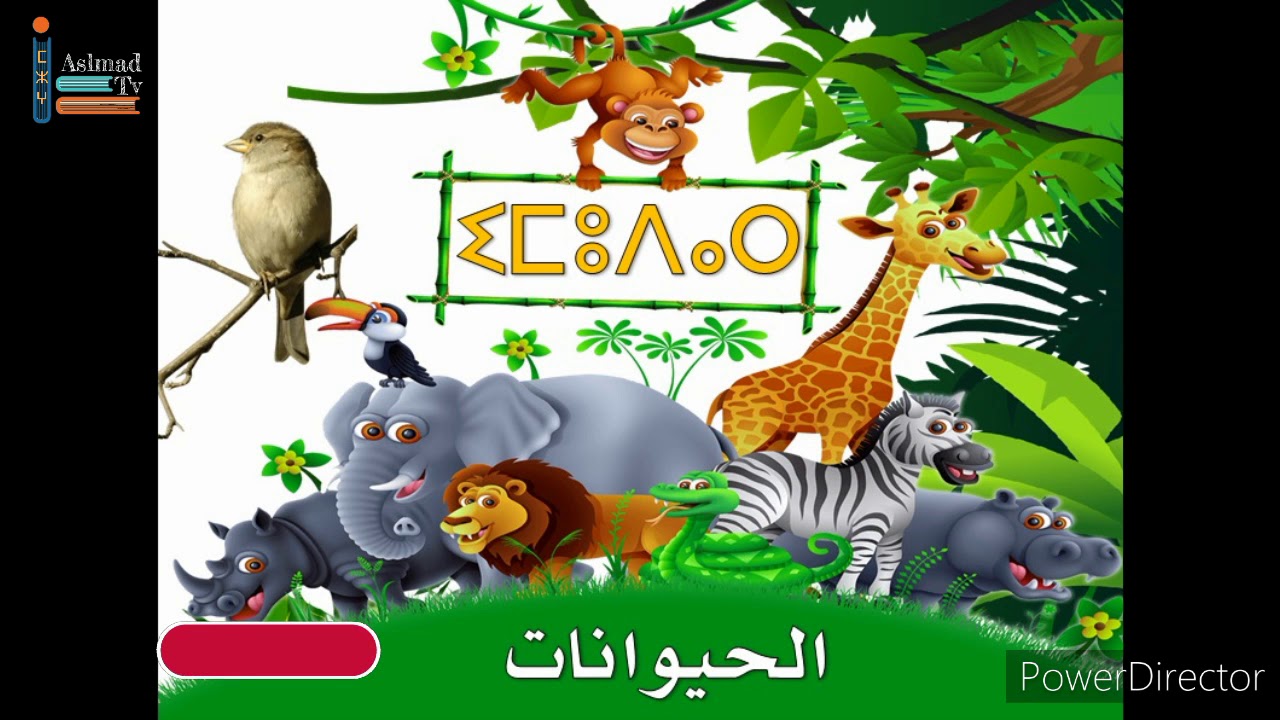 اسماء الحيوانات بالامازيغية للأطفال بالصوت و الصورة.les animaux en amazigh