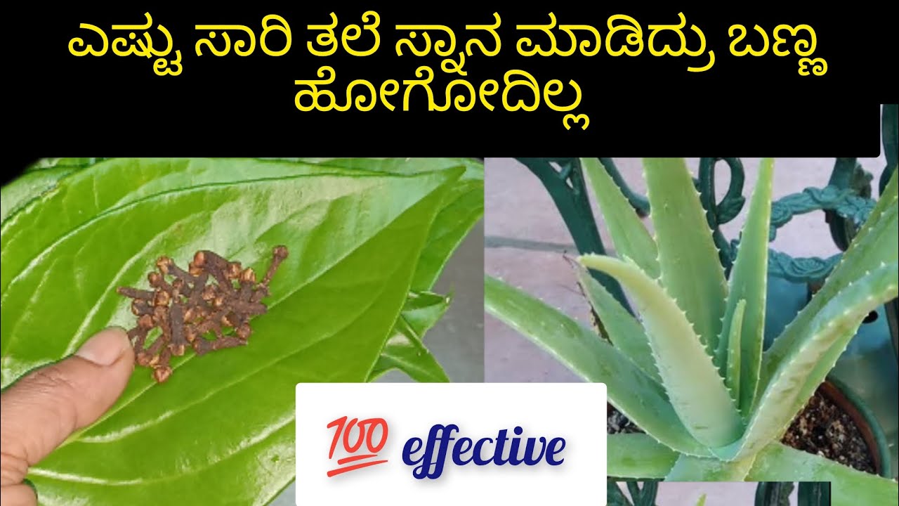 👉ಯಾವುದೇ ಹೇರ್ ಕಲರ್ ಬೇಡ ಹೇರ್ ಡೈ ಬೇಡ 💯 ನ್ಯಾಚುರಲ್ ಹೇರ್ ಕಲರ್
