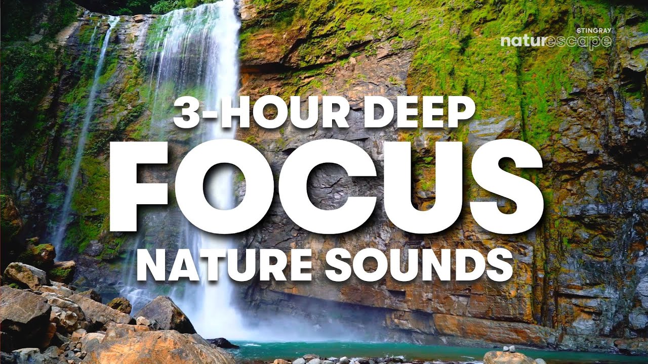3-HOUR RELAXING DEEP CONCENTRATION NATURE SOUNDS | BACKGROUND NOISE FOR STUDYING, SLEEPING & WORKING