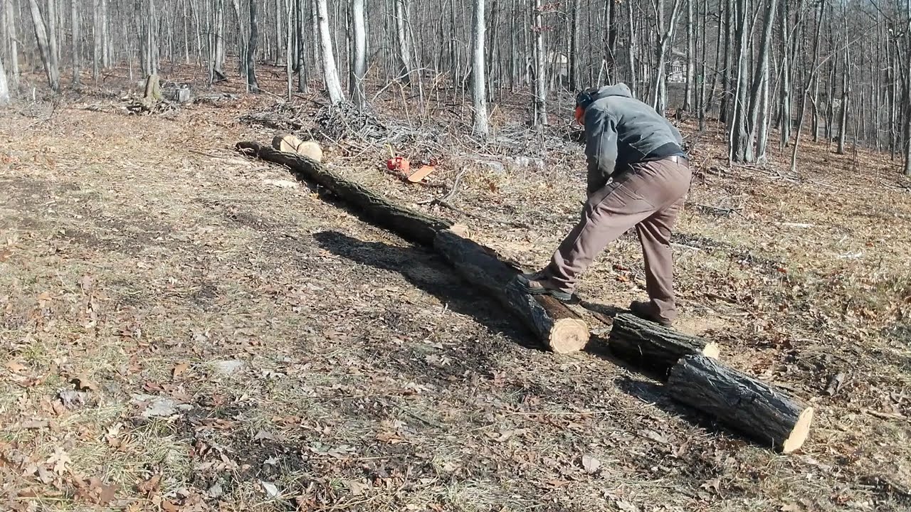 #910 Небольшое обновление по дровоколу и заготовка новых дров!