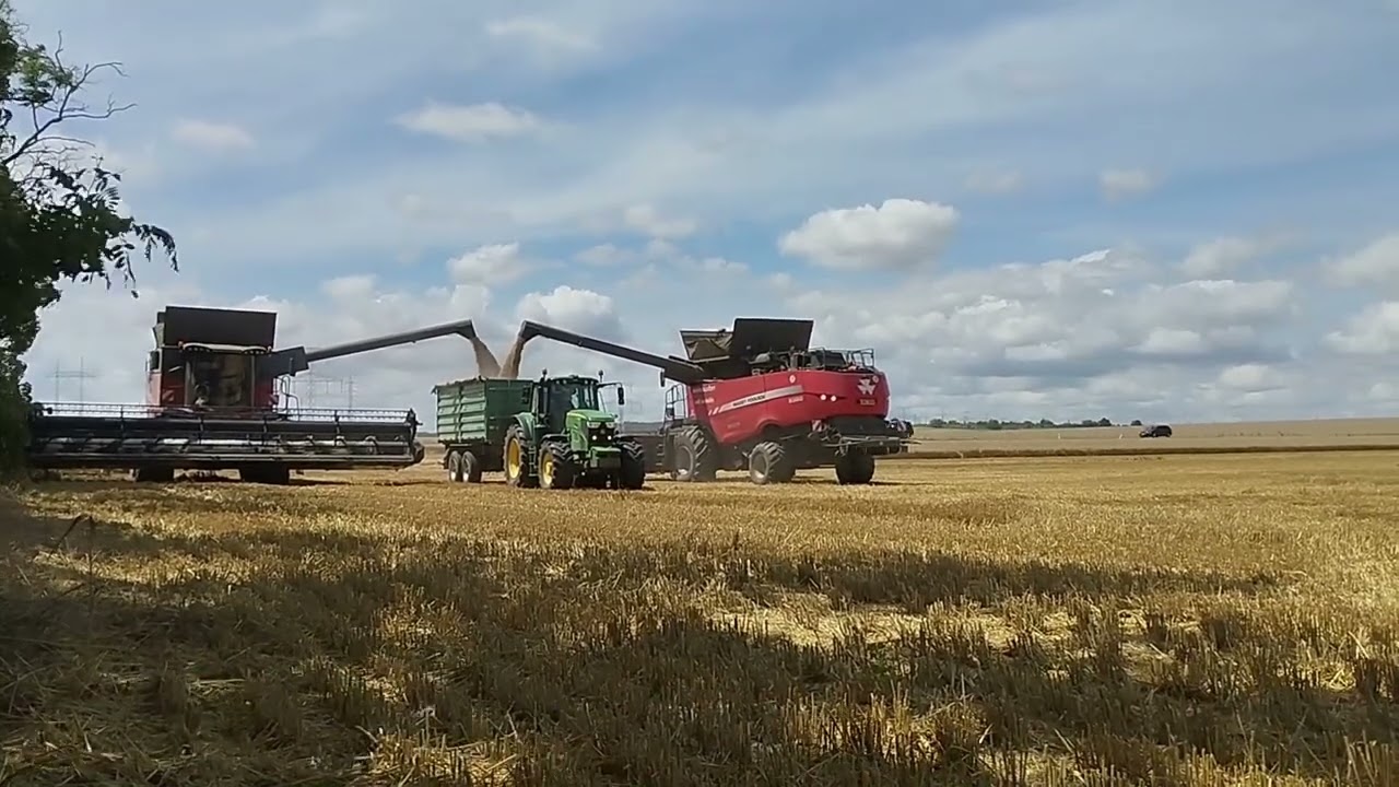 Žatva 2024 l Veľký Ďur l 3x   Massey Ferguson l