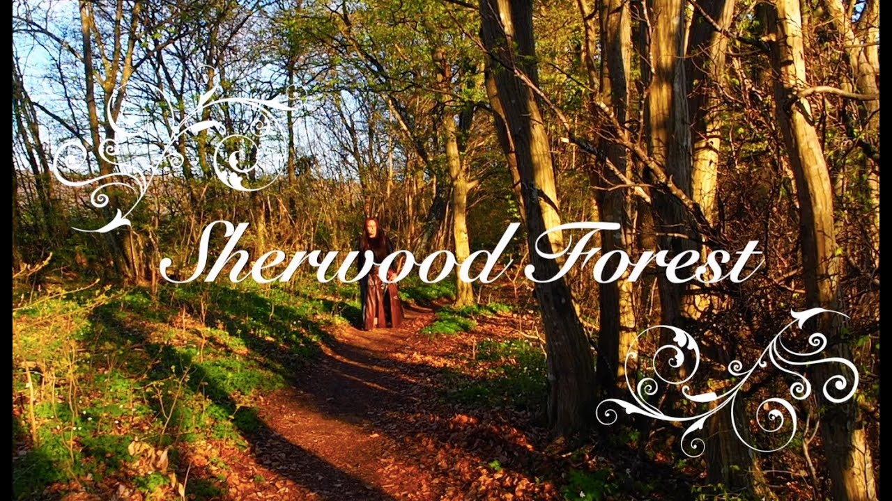 Handpan music - Sherwood Forest by Fairy Tin Tales