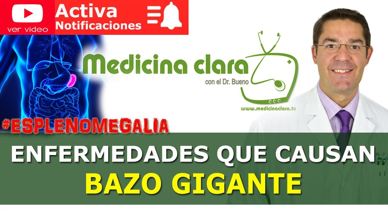 Esplenomegalia: Bazo gigante. ¿Qué enfermedades producen bazo grande? | Medicina Clara