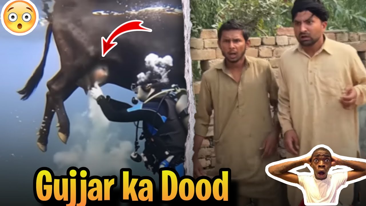 Gujjar Ka Doodh | Comedy Video | Crazy TV