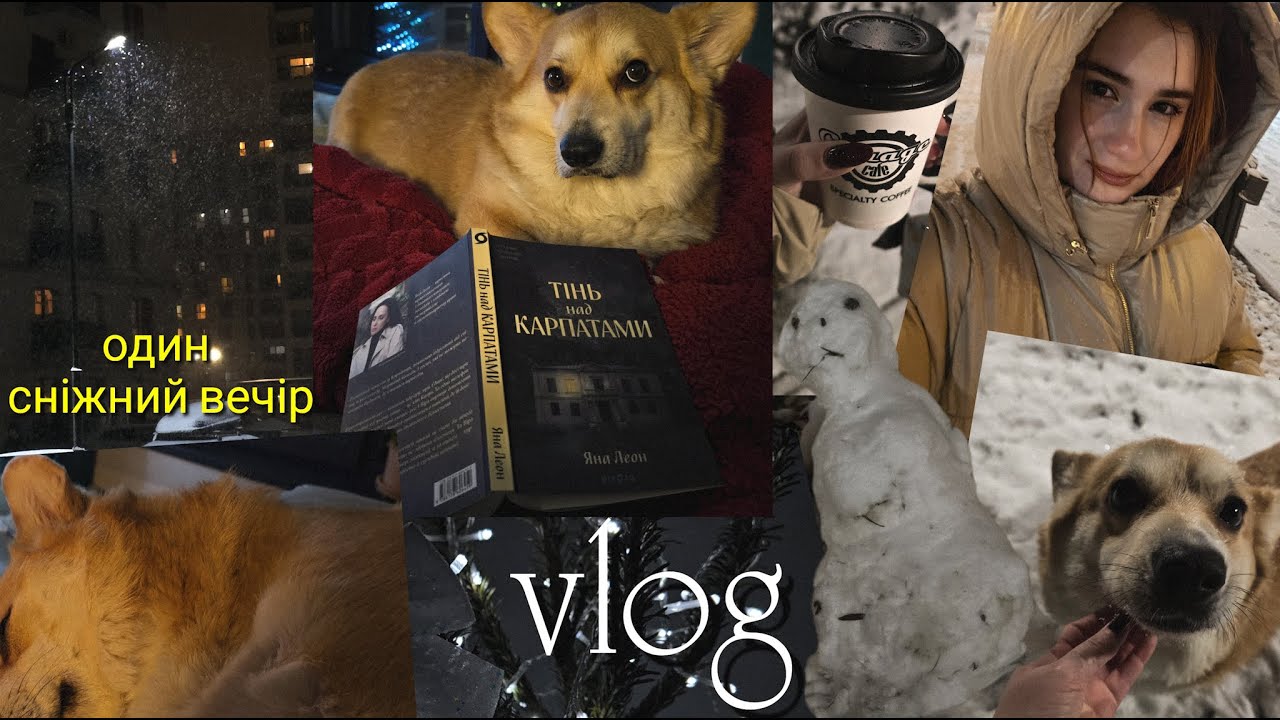 COZY VLOG ❄️ Книжковий вечір 📚 Сучасний український детектив