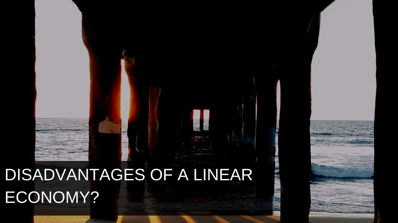 Disadvantages of a Linear Economy