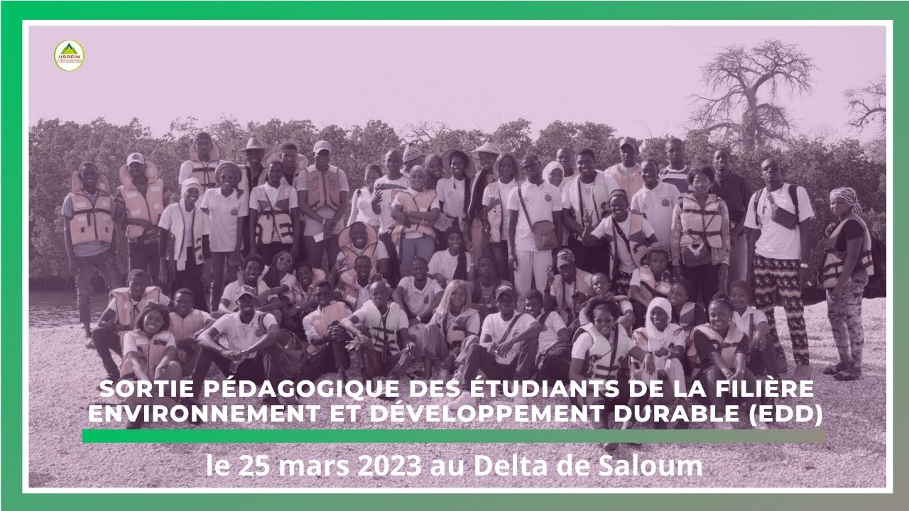 Visite pédagogique des étudiants de L2, L3 Environnement et Développement durable au Delta de Saloum