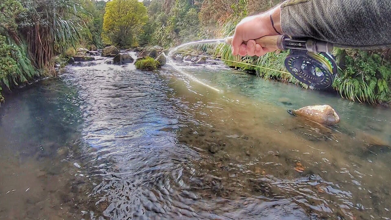 Sight Fishing the Best River ever [Fly Fishing]