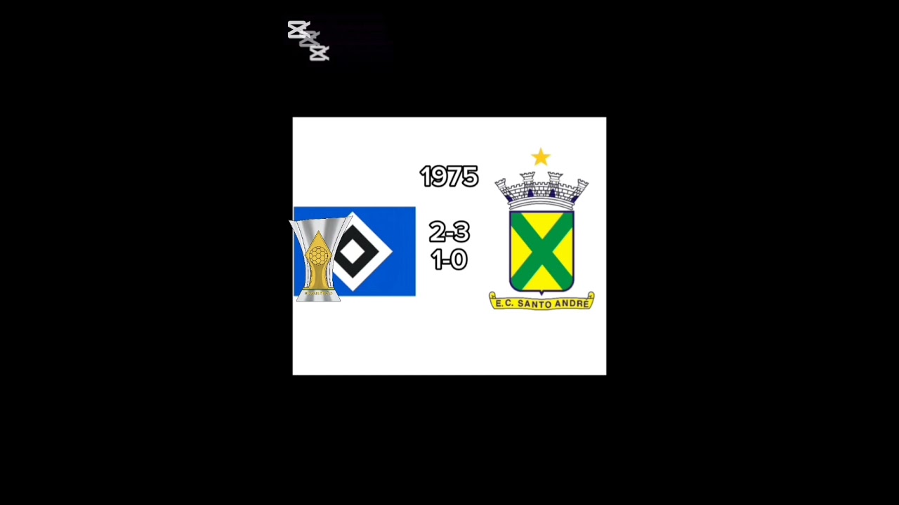 Campeões brasileiros mas algo de errado não está certo #brasileirão#fy#fyp#viral