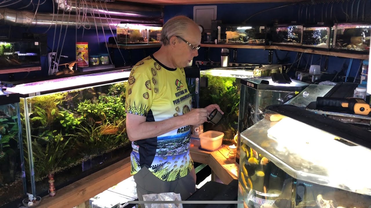 Local African Cichlid Breeder FISH ROOM TOUR!!!