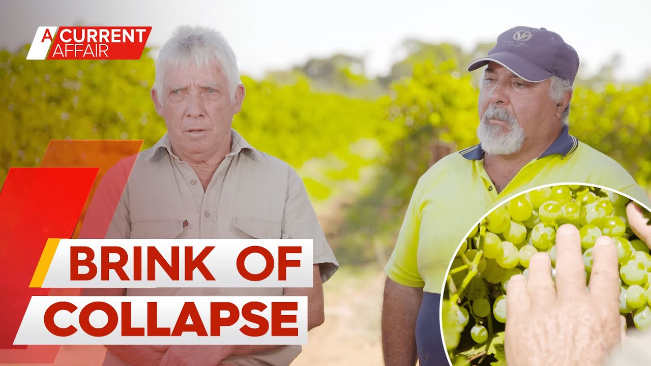 Grape growers claim they are being squeezed for profit by wine giant | A Current Affair