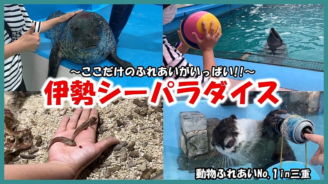 【伊勢シーパラダイス】動物ふれあいNo 1in三重～ここだけのふれあいがいっぱい!!～