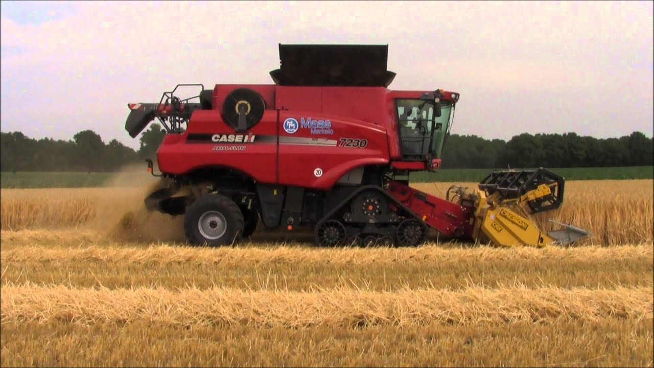 2015-07-07 maaidorsen Case IH Maas Markelo