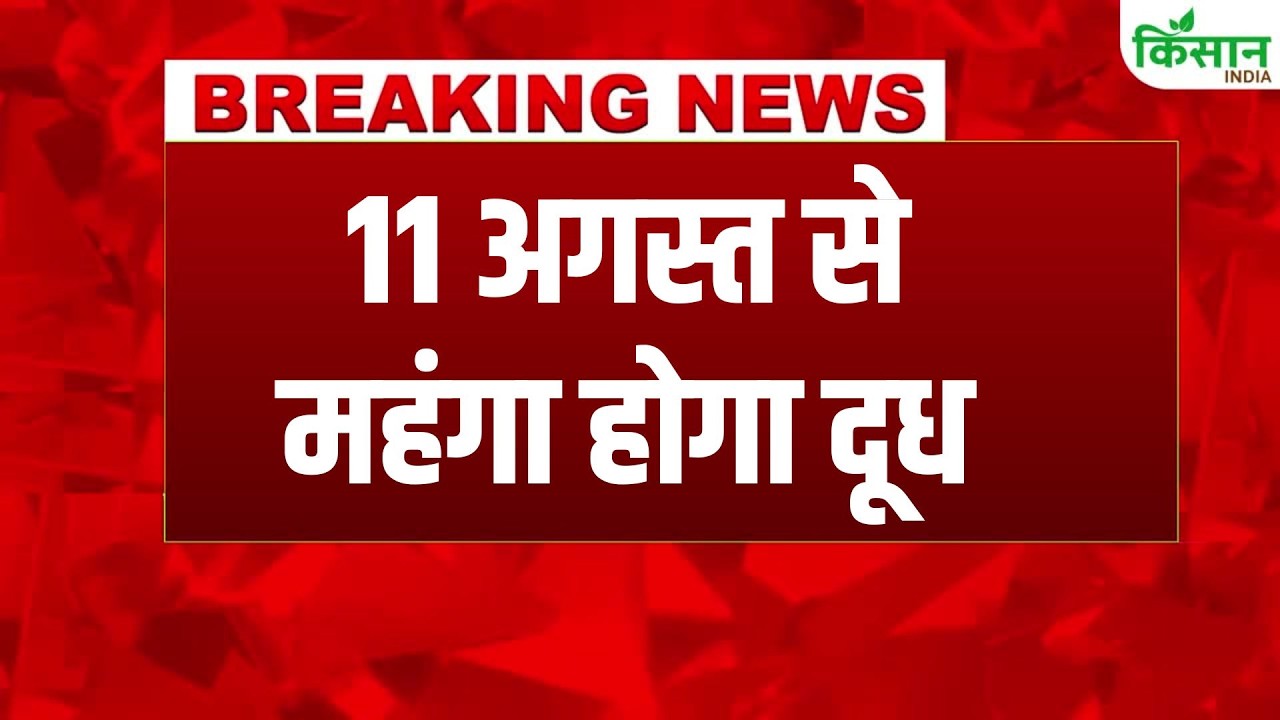 Milk Price Hike: Milk to Cost More From August 11, Curd and Paneer Prices to Rise Too. Kisan India