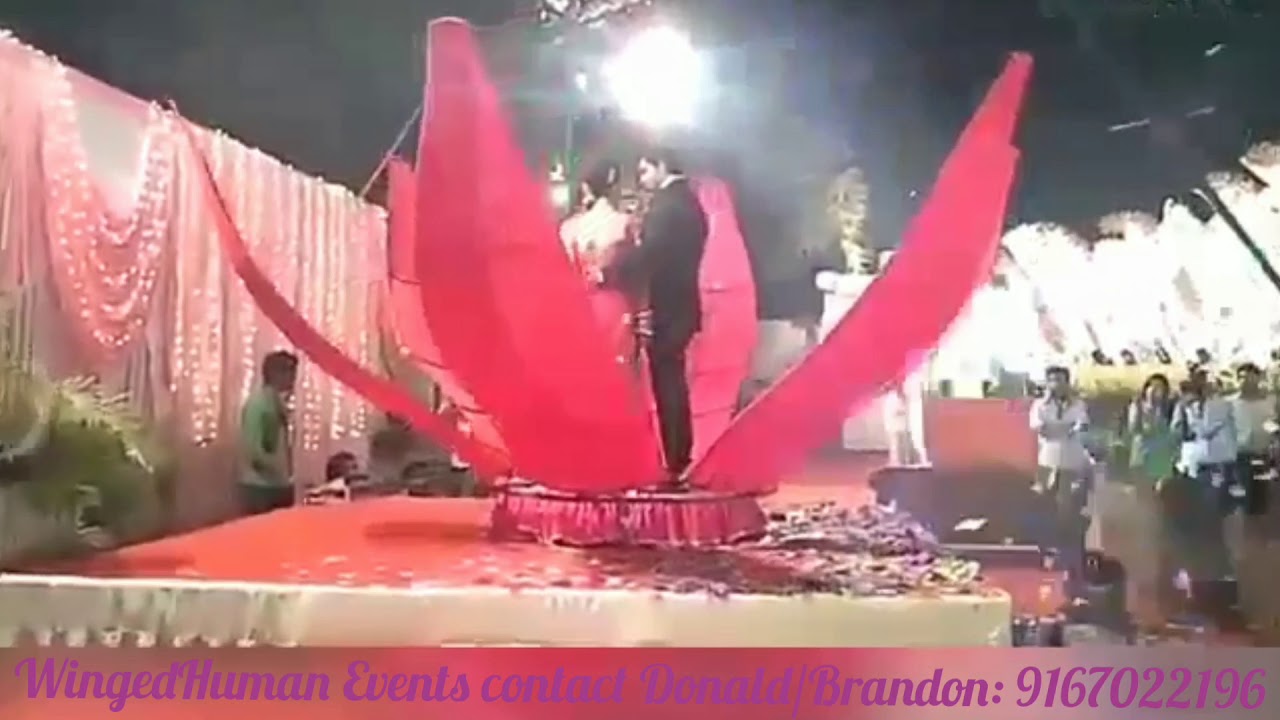 Shaandar Wedding Entrance contact Donald: 9167022196