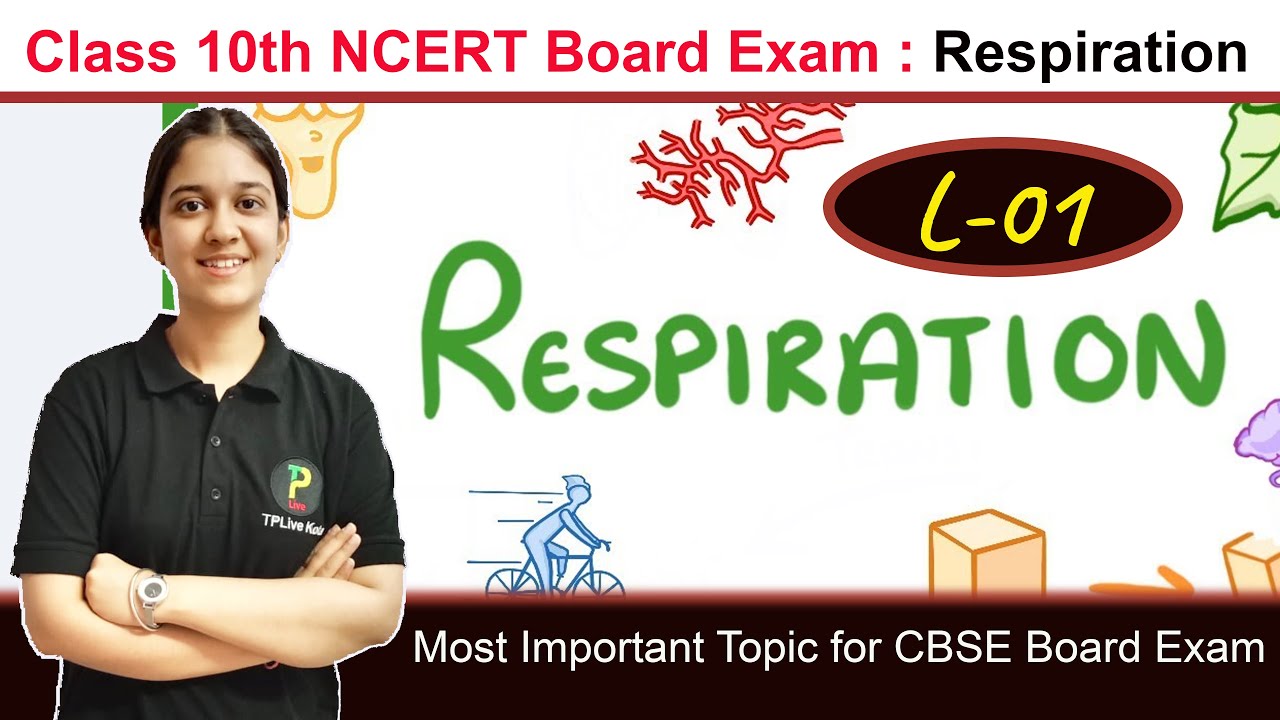 Respiration for Class 10th CBSE Board Exam | Class 10th | Biology