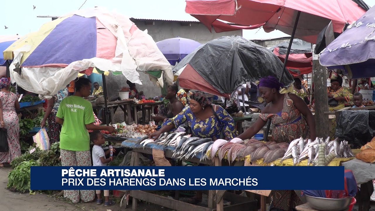Pêche Artisanale : prix des harengs dans les marchés