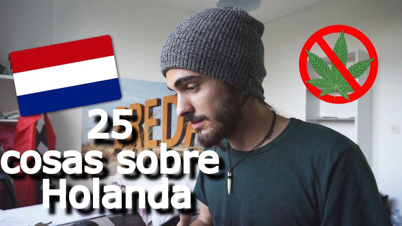 25 cosas sobre Holanda | Erasmus edition 🇳🇱