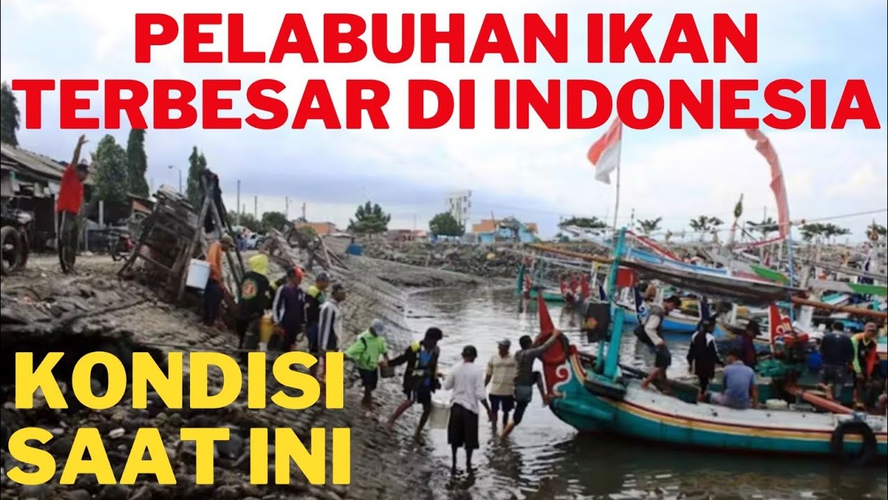 Pelabuhan Ikan Terbesar Di Indonesia. Kondisi Terkini