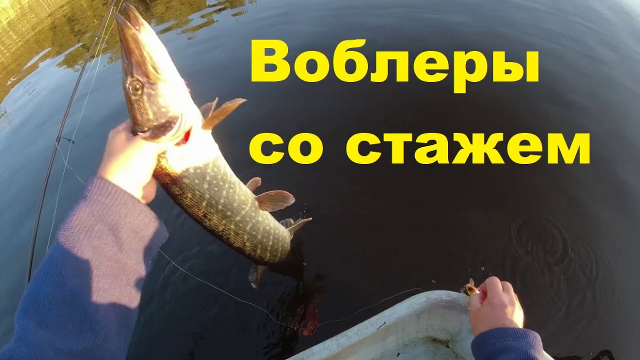 Воблеры со стажем.