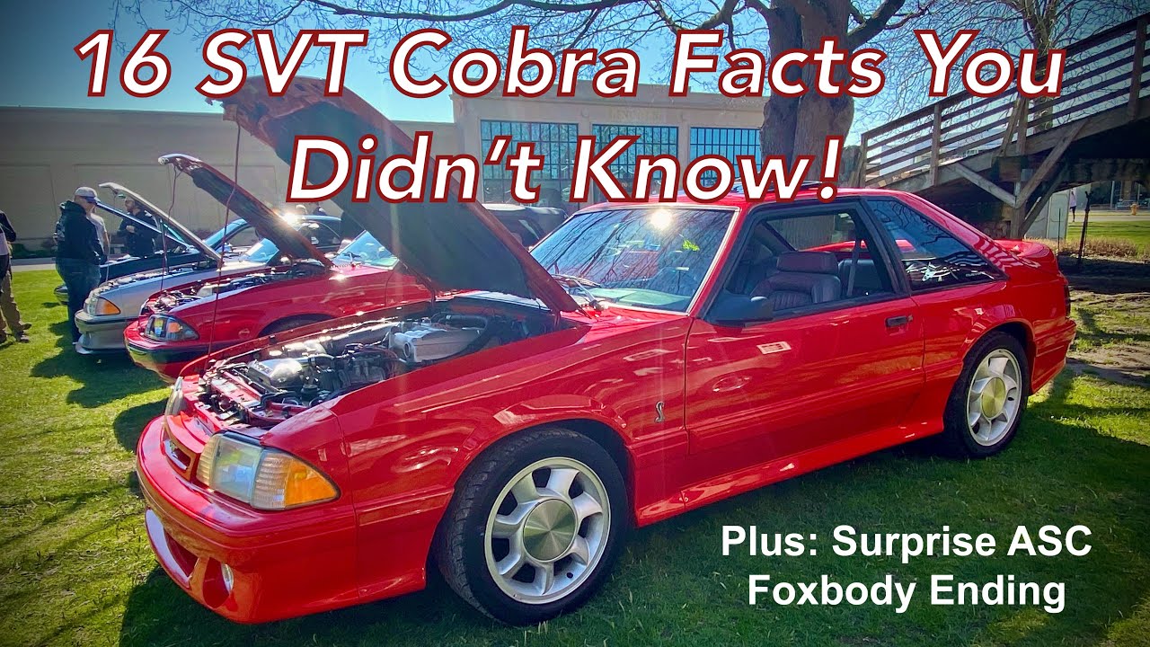 16 фактов о SVT Cobra 1993 года, которые вы не знали — с Марком Уилсоном из Ford Performance!