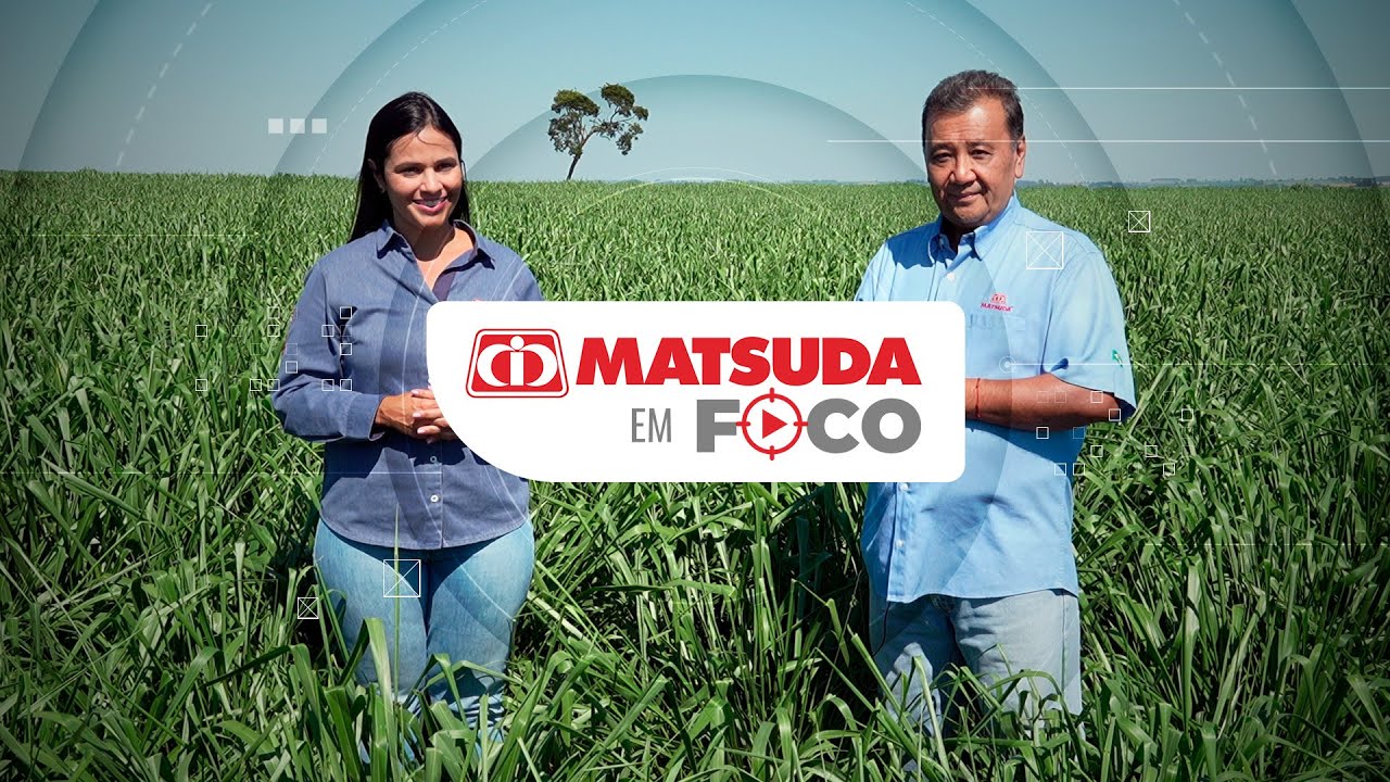 Matsuda em Foco I A Brachiaria MG5 Vitória e suas vantagens