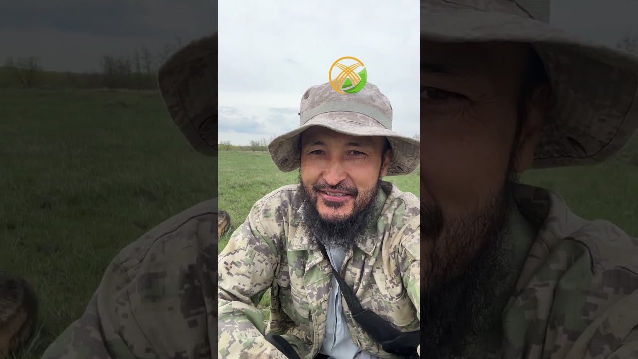 Қандай ауылда малмен шаруашылық жасауға болмайды?