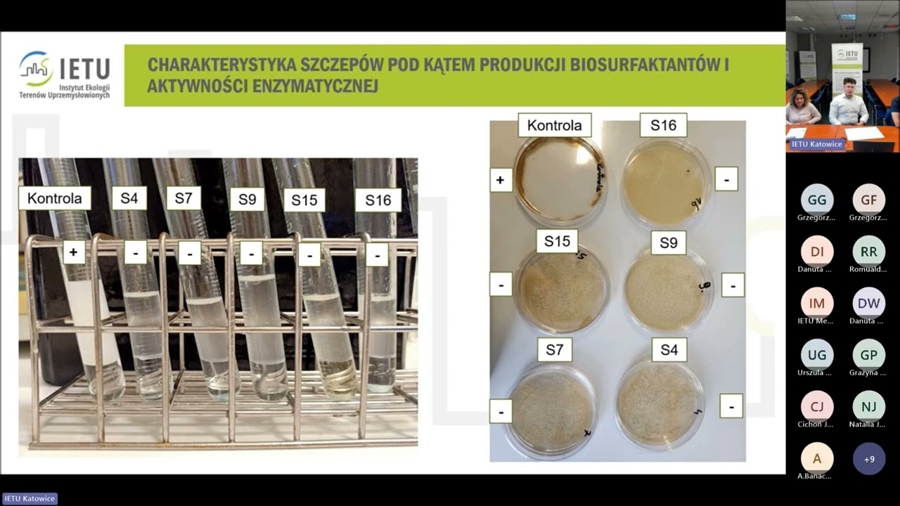 Webinarium IETU - Mikrobiologiczne aspekty biologicznego oczyszczania ściek&oacute;w... &ndash; UCGWater+