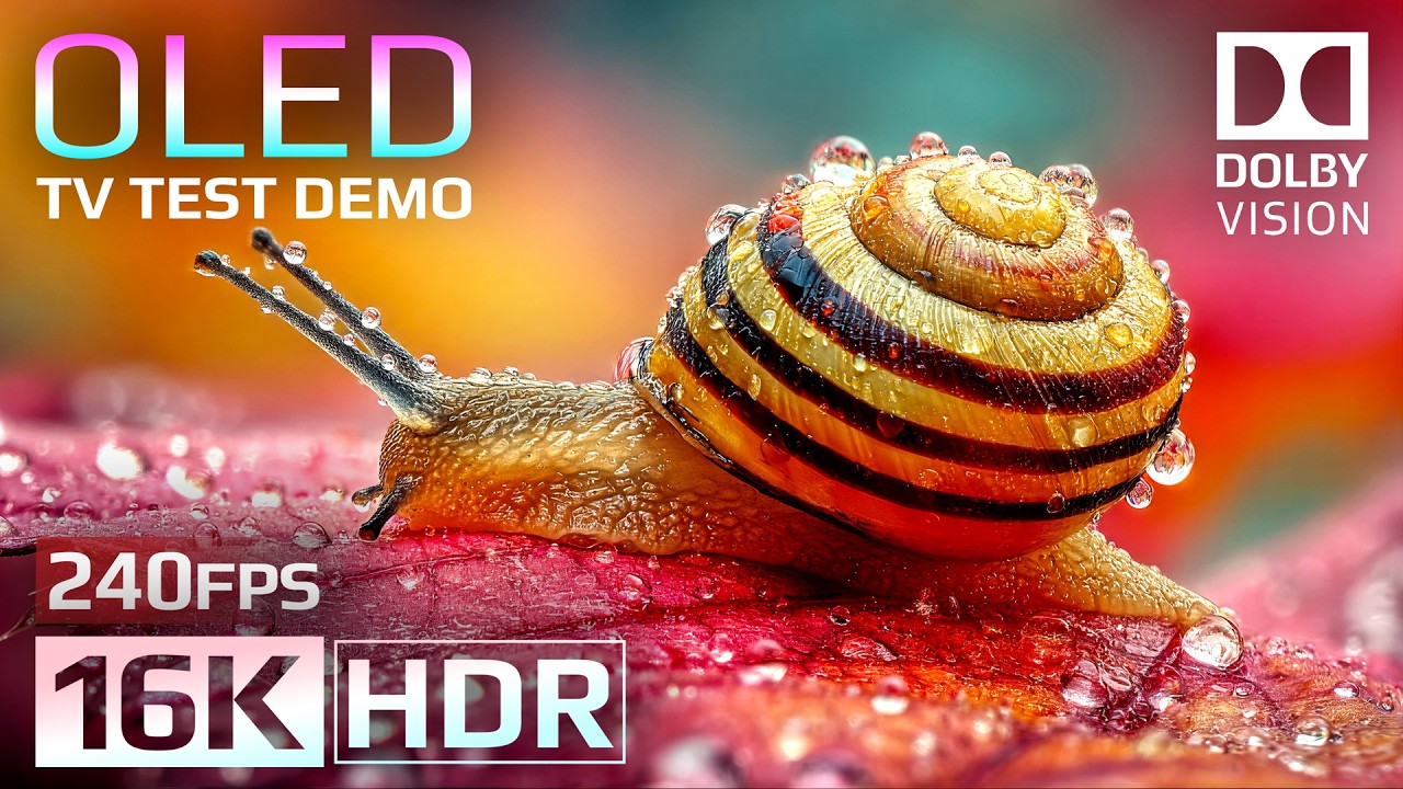 16K HDR 240fps OLED Test Demo | Ultimate Dolby Vision&trade; Experience