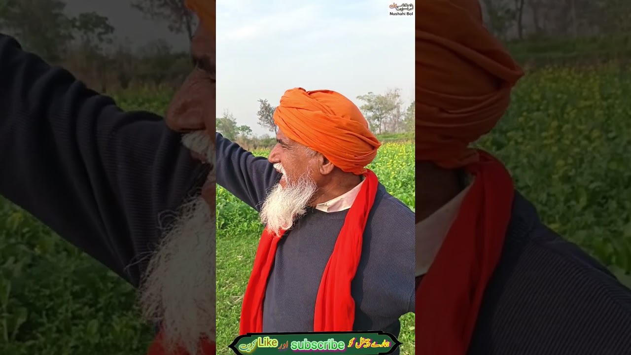 jag faqira jag wala|Baba dilbar Noshahi| Noshahi Bol|yt studio 