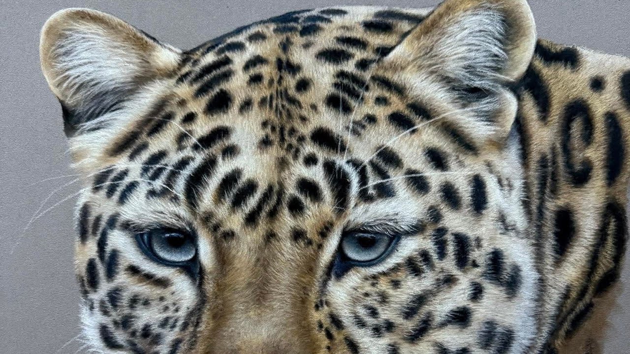 Leopard setting up your next artwork how to?