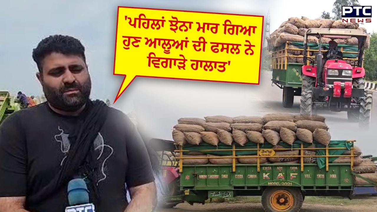 Sultanpur Lodhi :'ਪਹਿਲਾਂ ਝੋਨਾ ਮਾਰ ਗਿਆ ਹੁਣ ਆਲੂਆਂ ਦੀ ਫਸਲ ਨੇ ਵਿਗਾੜੇ ਹਾਲਾ, 'ਕਿਸਾਨਾਂ ਨੇ ਸੁਣਾਏ ਆਪਣੇ ਹਾਲਾਤ