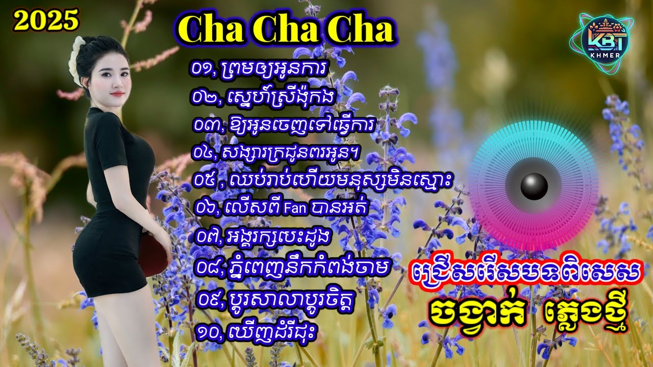 ជ្រើសរើសបទពិសេសៗ | Nhạc khmer Cha Cha Cha 2025 | Nhạc khmer chọn lọc 2025 - Cover Lâm Thọi Song