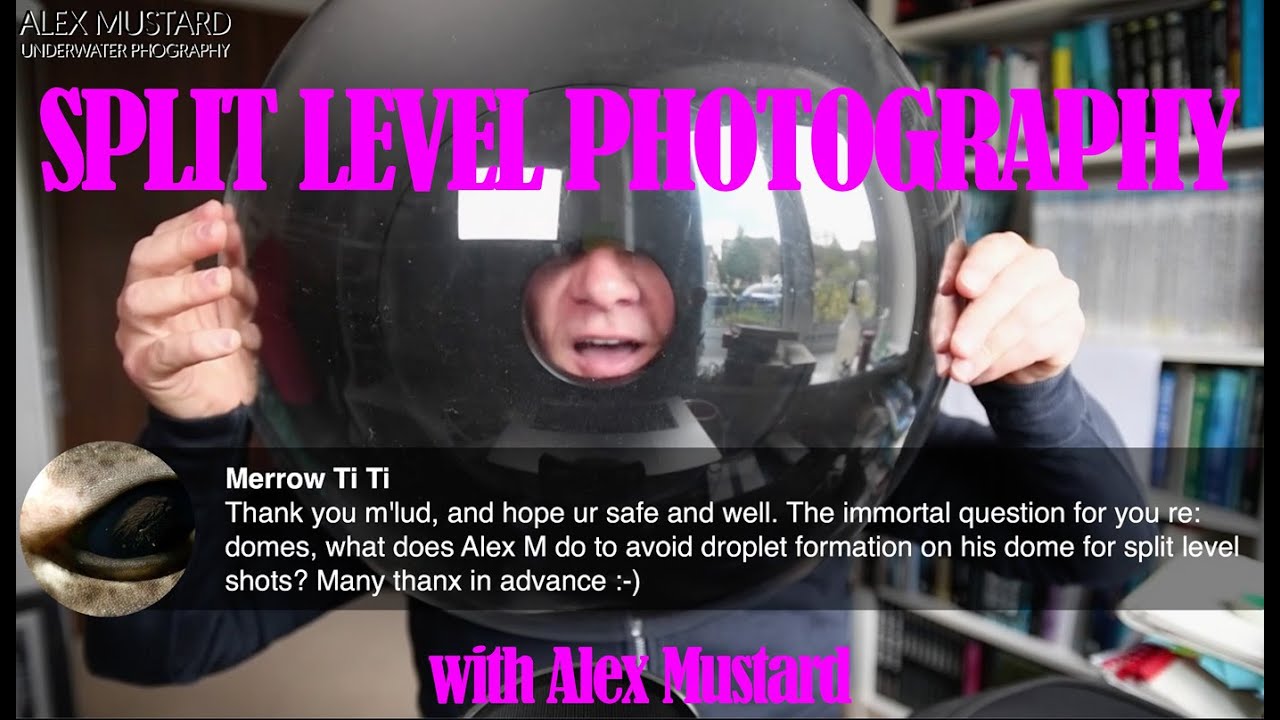 Alex Mustard on Shooting Split Level Images. Webinar + Q&A from Facebook Live