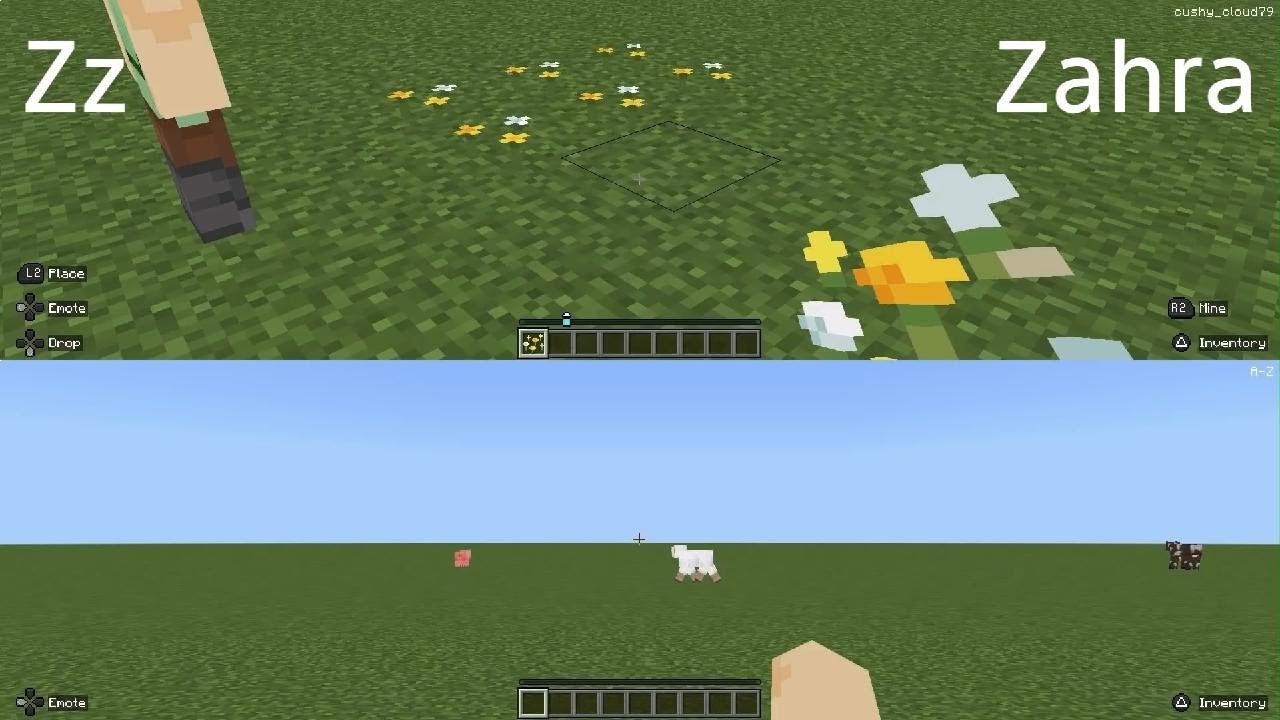 ز