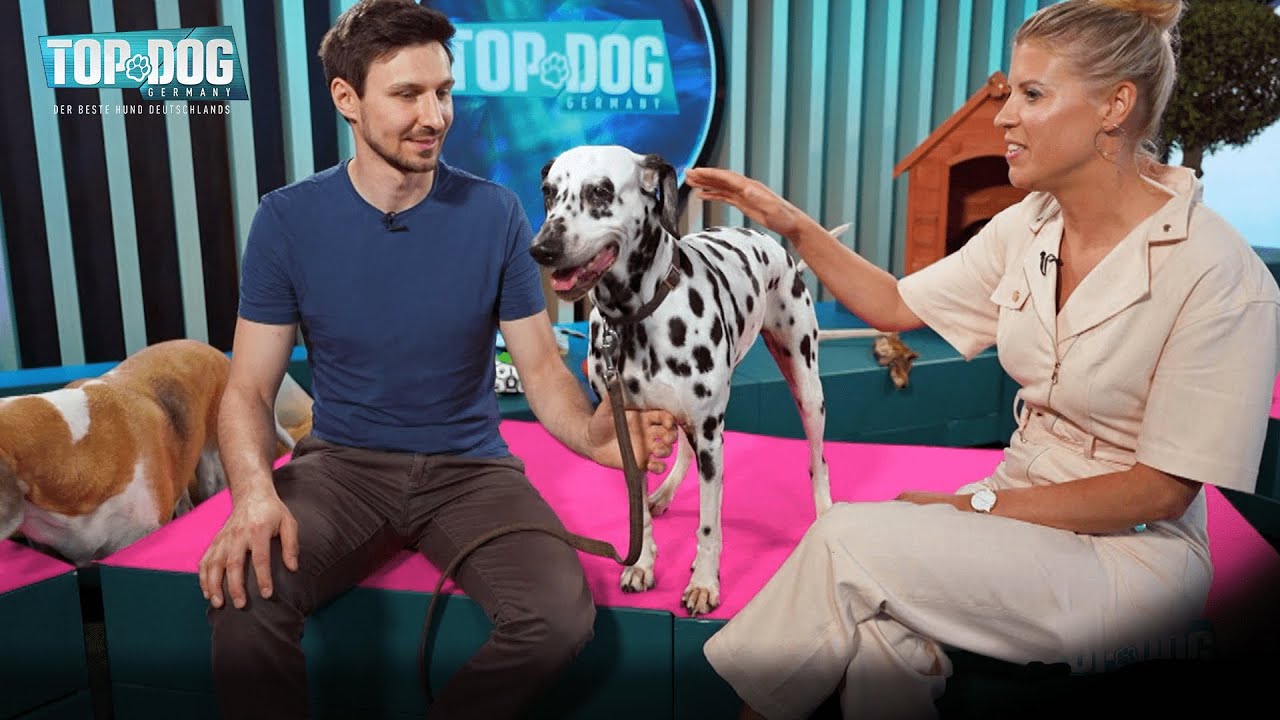 Die TAUBE Amie tritt zum Parcours an... und ÜBERRASCHT alle! 😮 | Top Dog Germany