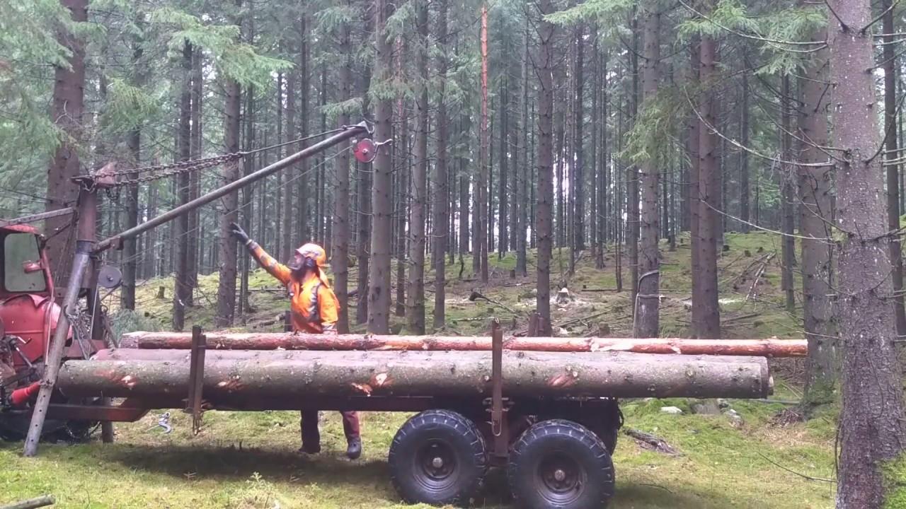 Hugger och vinschar gränsträd