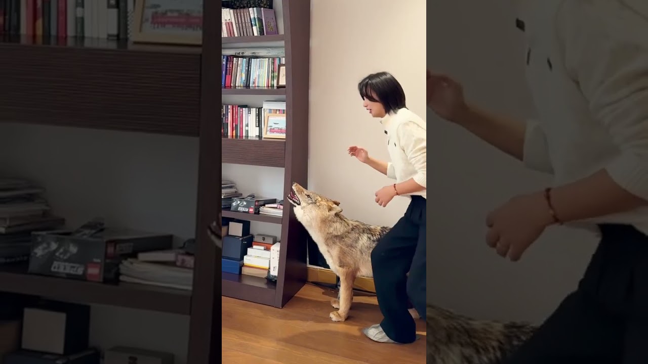上海一个小目标的房子是可以看星辰的：古北壹号……#shanghai #homedecor #hometour #上海看房 #realestate #property 