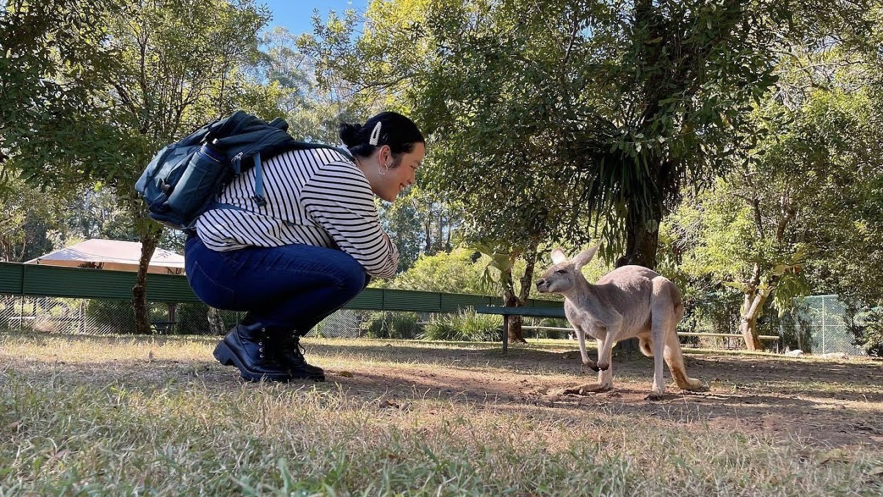 Visiting The Australian Zoo & Cuddling A Koala