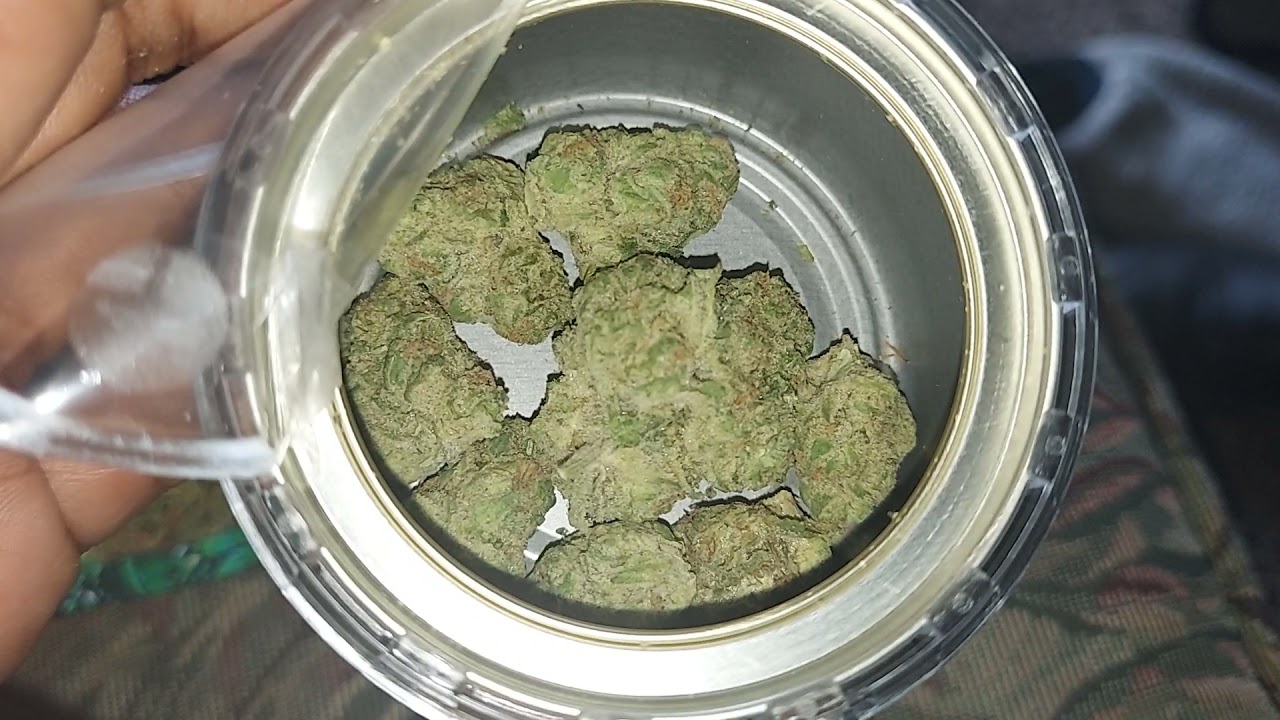Strain of the Day