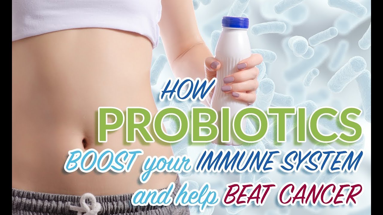 How Probiotics Boost your Immune System and help Beat Cancer!