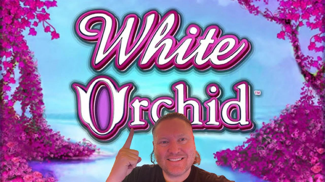 Hunting the White Orchid Bonus on This Classic Slot