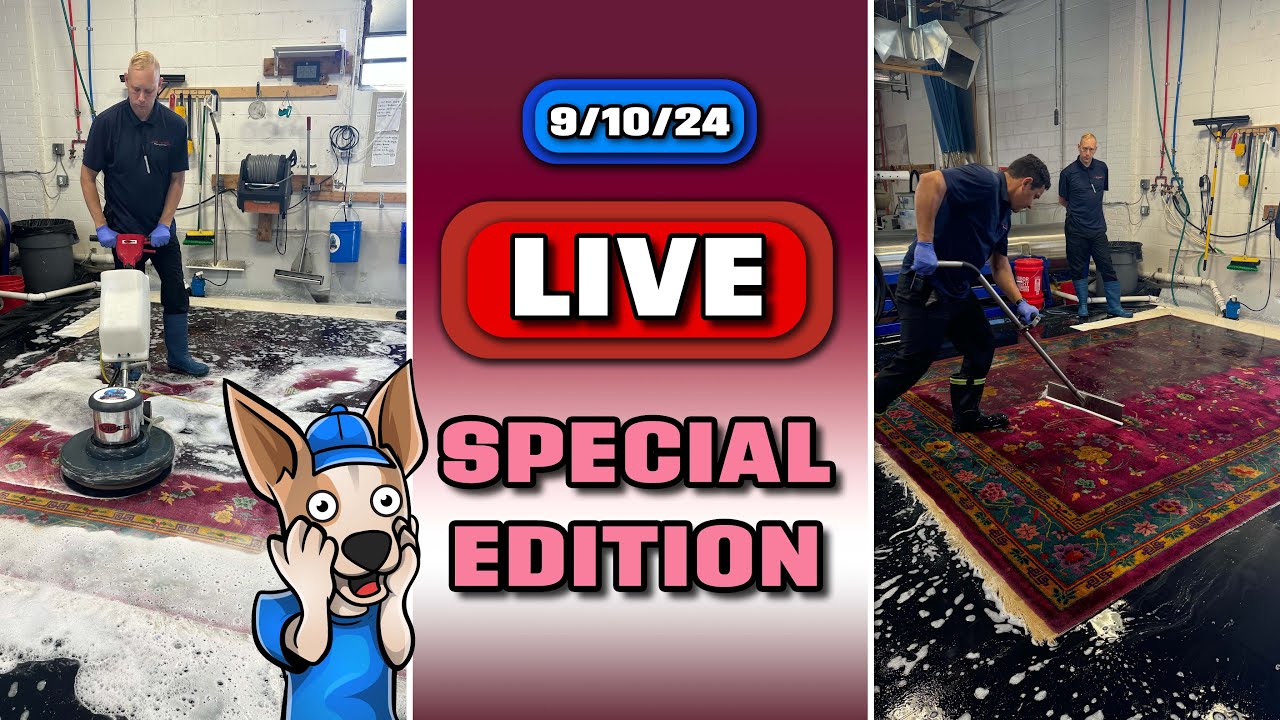 2 Rugs Over 100 YEARS Old! | SPECIAL EDITION | Live Rug Cleaning!