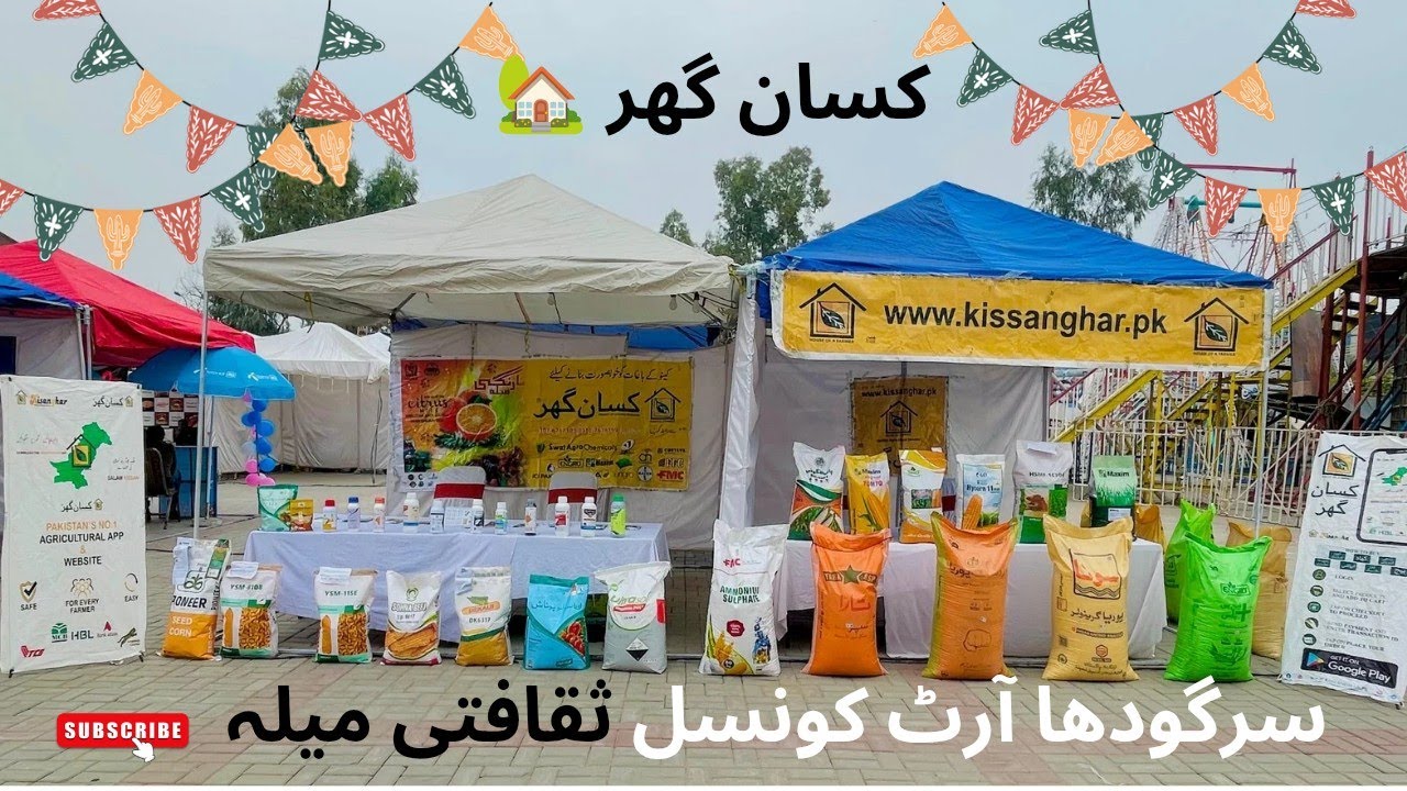 Saqafti mela Sargodha Art council kissan ghar Ka stall lagya ha 