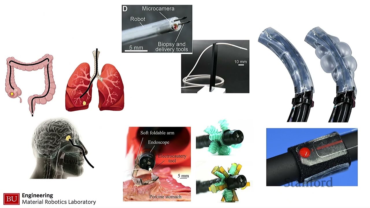 Stanford Seminar - Soft Material Robotics and Next-Generation Surgical Robots