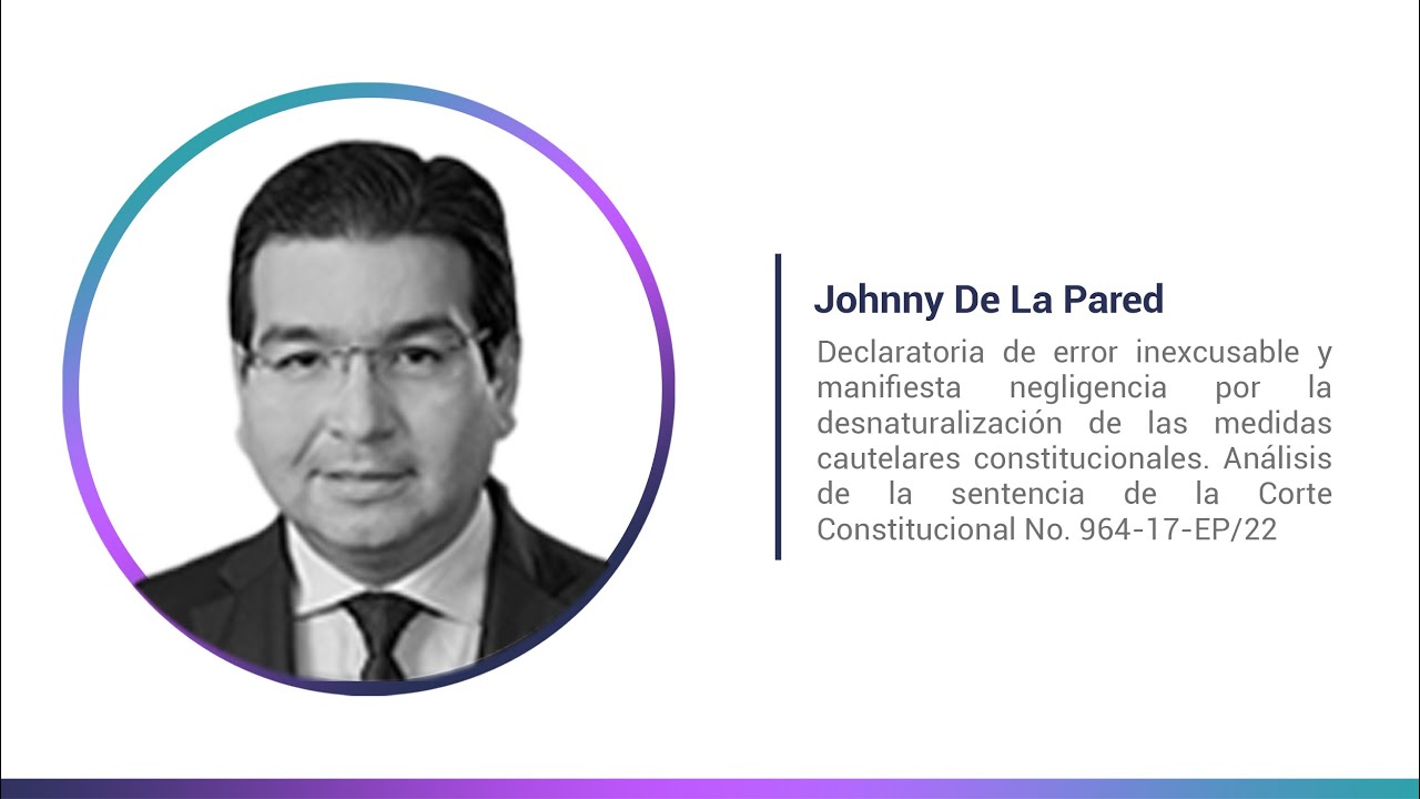 Johnny De La Pared  - Declaratoria de error inexcusable y manifiesta negligencia