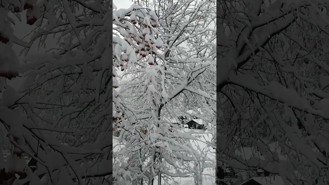 Morgins❄️❄️❄️