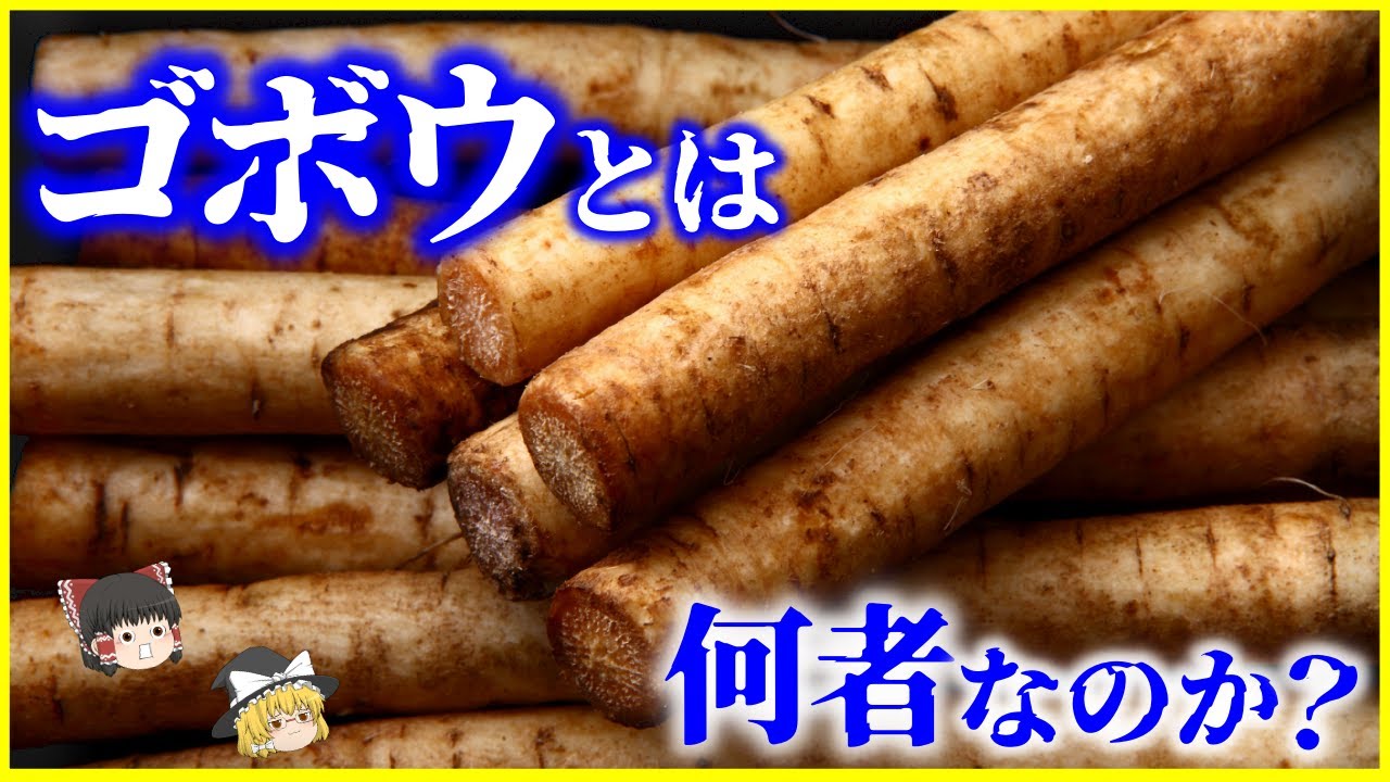 【ゆっくり解説】食べるのは日本だけ!?「ゴボウ」とは何者なのか？を解説/なぜ日本人しか食べないのか？