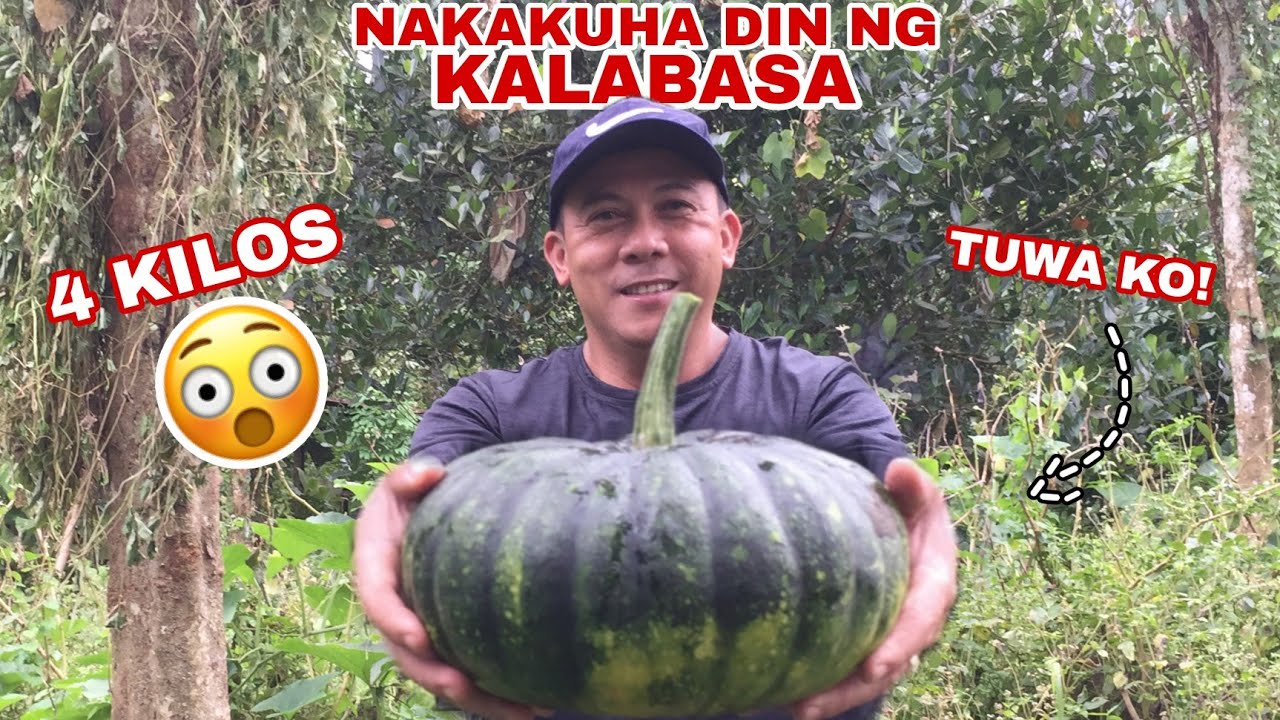 ISANG KALABASA: 4 KILOS! | Biyaherong Batangueno