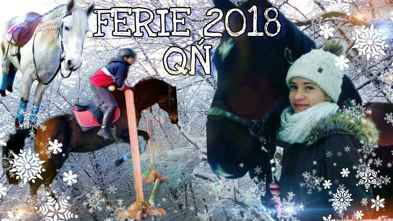 Jak wygląda dzień na obozie jeździeckim w QŃ'u? FERIE 2018!